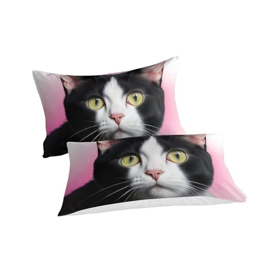 Housse de couette chat 3D microfibre facile à laver 200x200