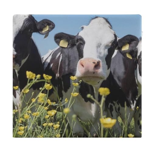 Cojín de espuma viscoelástica cuadrado de 38 x 35 cm lavable para comedor 2