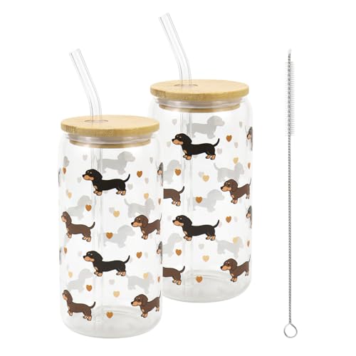 Mjuthy 2 Dackel-Glas mit Deckel und Strohhalm 500ml Trinkgläser Dackel mit Deckel für Matcha Eiskaffee Cocktails Whisky Saft Bier Bubble Tea Milchshakes Smoothies