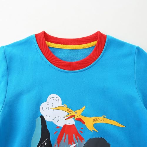 Boys Sweatshirts Casual Sweatshirts Cotton Sweatshirts Long Sleeve T-shirts Crew Neck Cartoon Tops for Boys-3513
