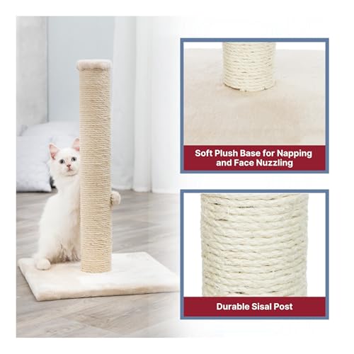 Trixie Parla Cat Scratching Post 24.4 Inch - Cat Scratcher with Soft Fabric Covering Base and Durable Sisal Rope - in Beige - Image 6