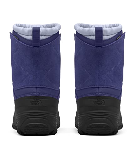 THE NORTH FACE Teen Alpenglow V Waterproof Boot2