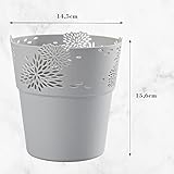 Zoom IMG-1 verdenia aster 20533 vaso da