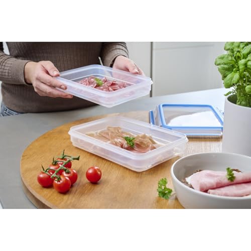 EMSA Clip & Close Frischhaltedose, rechteckig, 2 X 0,6 L, Aufschnittboxsystem mit Deckel, Aufbewahrungsbox, 100 Prozent dicht… – Ansicht 2