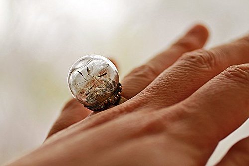 Dandelion seed jewelry , good luck ring , Small dandelion ring ,dandelion wish , mini terrarium jewellery ,