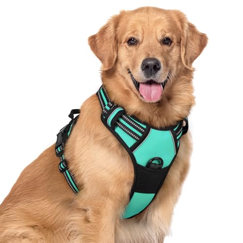 Image of rabbitgoo Dog Harness No Pull with 2 Leash Clips, Adjustable Soft Padded, Reflective Oxford No Choke Pet Vest with Easy Control Handle for Large Dogs, Turquoise, XL