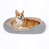Jiupety Oval Bed for Medium Dog | XL Size L35”X W26”| Up to 35 lbs | Out of The Box | Integrated Des