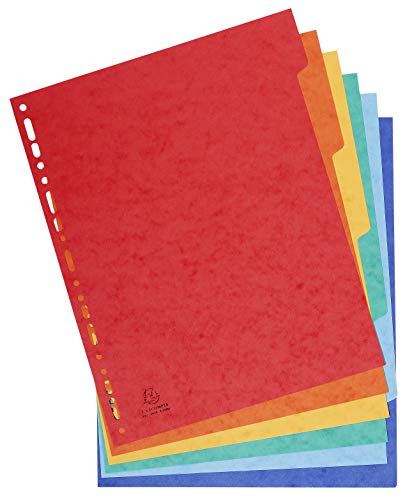 Exacompta PackrDCAMZE Aktenordner aus weichem PP + 2 Beutel mit 50 perforierten Hüllen + 2 Packungen mit je 6 Trennblättern aus glänzendem Karton.