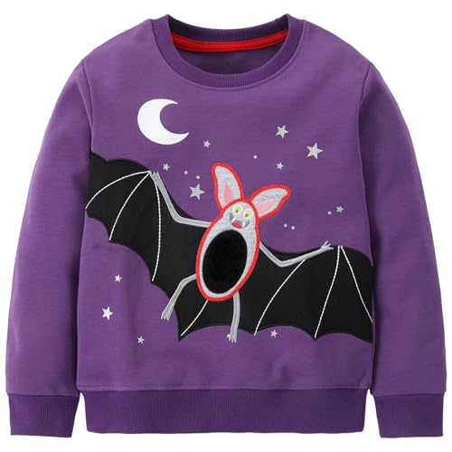 Image of Hongshilian Unisex Kids Cute Cartoon Cotton Sweater Shirt