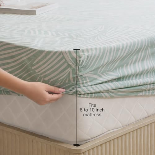 Image of HOMEMONDE 186 TC Soft Cotton Fitted Sheet Feather Printed Queen Size Elastic Fitted Bedsheet with Two Pillow Covers - (78 x 72 Inches, Mint Green Feather) | Perfect for Home Decor & Gifting