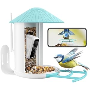 NETVUE by Birdfy Vogelfutterhaus mit Kamera für Live Vogelbeobachtung, Vollfarbe Nachtsicht Smart WLAN Vogelfutterstation, Futterhaus für Vögel, Automatische Videoaufzeichnung bei Vogelbesuch