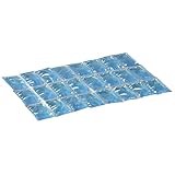 Campingaz Kühlakku Flexi Freez Pack Gr. L 600g
