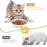 Katzennapf 6er Set, Futternapf Katze Keramik, Katzen Napf Bunte, Katzennäpfe Flacher, Katzenfutter Napfset, Katzen Näpfe für Futter und Wasser, Katzenteller Katzenschüssel, Kätzchen-Futternapf