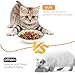 Katzennapf 6er Set, Futternapf Katze Keramik, Katzen Napf Bunte, Katzennäpfe Flacher, Katzenfutter Napfset, Katzen Näpfe für Futter und Wasser, Katzenteller Katzenschüssel, Kätzchen-Futternapf