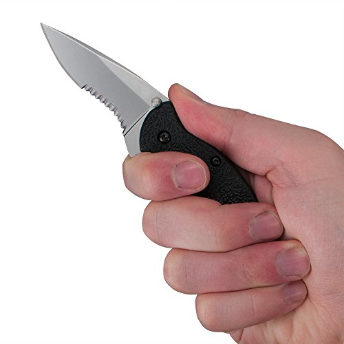 Kershaw Scallion Serrated (1620St), Edc Folding Pocketknife, 2.4-Inch 420Hc Steel Blade, Bead-Blasted Finish, Textured Glass-Filled Nylon Handle, Speedsafe Assisted Opening, Dual Blade Lock, Single-Position Pocketclip, 2.3 Oz. #TOP7