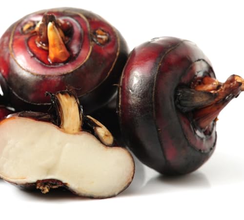Water Chestnut Chinese Singhara Corm Bulbs, Non-GMO, for Planting and Cooking (2 lbs)