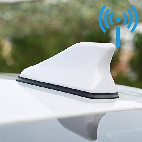 SAXTZDS Antena de carro de tubarão, amplificador de sinal de rádio para carro, antenas de telhado, a