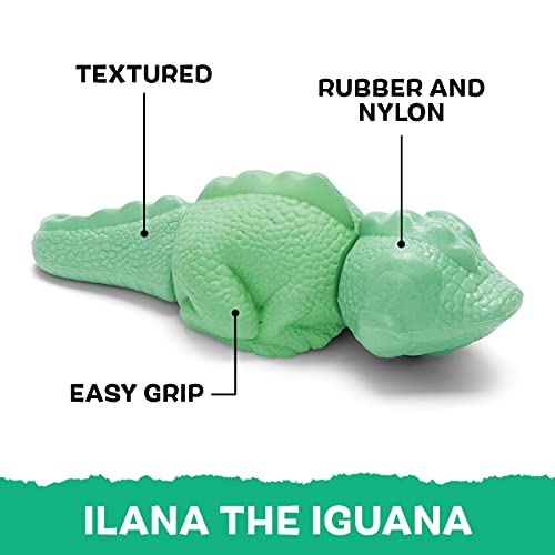 Barkbox Tough Dog Toys & Chews For Aggressive Chewers, Durable Rubber & Nylon Super Chewer Treat Dispensing, Balls, & Teething Toys For Small, Medium, & Large Dogs And Puppies, Ilana The Iguana #TOP1