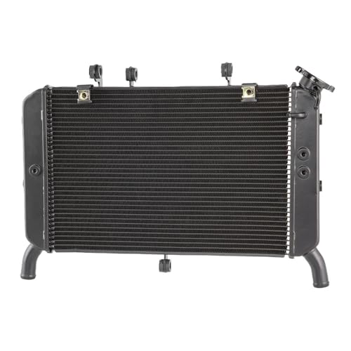 Grille de radiateur moto en alu refroidisseur moteur anti-gravillons MT09