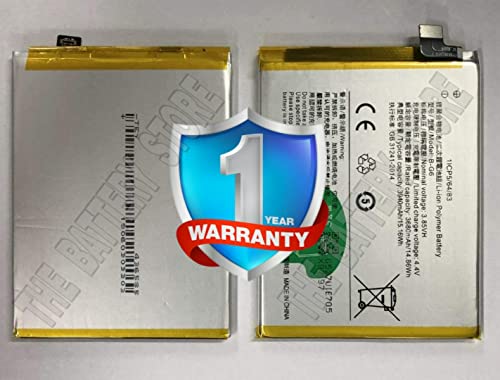 Image of THE BATTERY STORE Original Battery for Vivo VI S1 B-G6 Battery with 1 Year WARRENTY and HIGH Capacity Battery Backup(for B-G6)