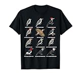 Tableau des espèces de pics avec pic duveteux, pic poilu, pic empilé, pic à ventre rouge, scintillement du nord, pic gland, pic Gila, pic à trois orteils, dos échelle, tête rouge et plus encore. Pour les amateurs d'oiseaux et les apprenants
