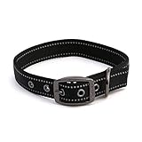 Max and Neo MAX Reflective Metal Buckle Dog Collar - We Donate a Collar to a Dog Rescue for Every Collar Sold (Large, Black)