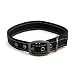Max and Neo MAX Reflective Metal Buckle Dog Collar - We Donate a Collar to a Dog Rescue for Every Collar Sold (Large, Black)