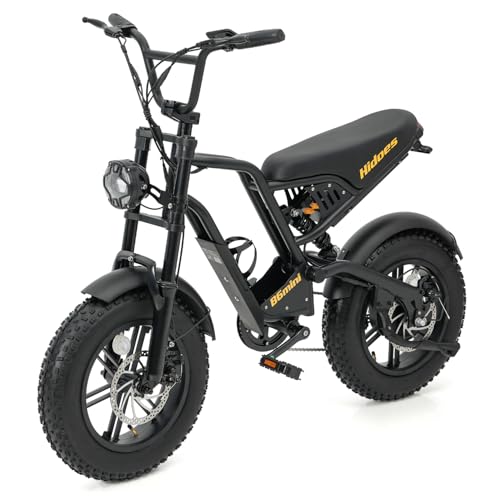 Kanpe 16" * 4" Electric Bikes for Teens,Hidoes B6Mini Road Bike Electric Mountain Bike with 48V 10.4Ah Battery, 50KM Range,LCD Display,Dual Suspension E-bike for kids Fit Age 13+ option