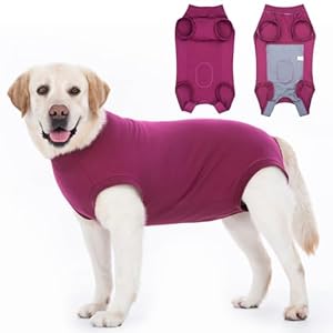 Hundebody Nach Op Leckschutz Op Body Hund Kastration Hündin Rüde Medical Pet Shirt Hund Einteiler Wundschutzanzüge für Hunde Mit Klettverschluss Alternativen zu Kegel und Halskrause Hunde