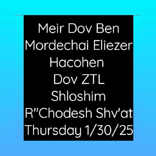 Some Words About Dov as the Shloshim aproach