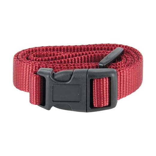 PetSafe 3/4 Inch Replacement Collar Strap, Rust/Red