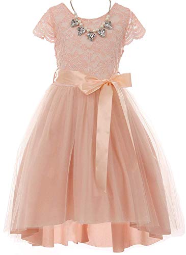 Little Girls Blush Cap Sleeve Floral Lace High Low Tulle Special Occasion Flower Girl Dress USA Size 6
