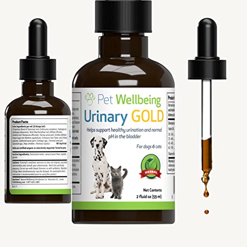 Boost Canine Urinary Tract Health with Urinary Gold Supplements
