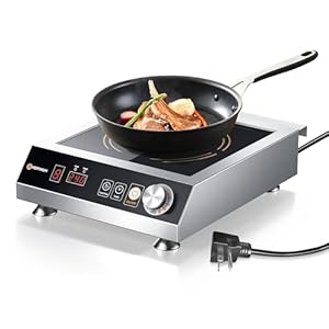 Commercial Induction Cooktop 3500W/220V, Professional Portable Countertop Burner, 9 Power/Temp Levels Dual Cooling Fans IPX4 Waterproof 72H Continuous Use, Overheat Protection