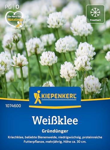 Kiepenkerl Weißkleesamen Kriechklee 1074600 - Blumensamen für einen mehrjährigen Gründünger mit einer Wuchshöhe von ca. 30 cm - Pflanzen Saatgut