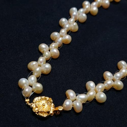 Wp[ {^lbNX obNp[`[J[ Vo[ S[h