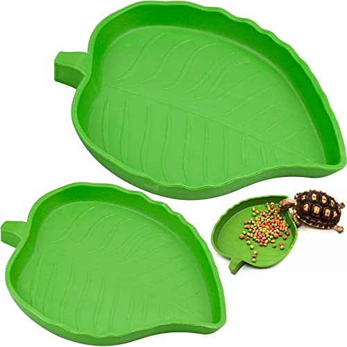 YUENX 2 Pièces Bol d'eau de Nourriture pour Reptiles Abreuvoir Tortue Plat de Reptile pour Petits Animaux domestiques Reptile, Tortue, Lézard, Araignée, Scorpion (Vert)
