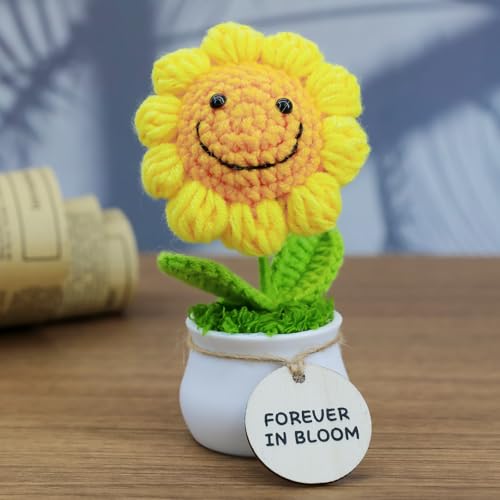 MSEHKM Encouragement Crochet Flowers with Positive Wooden Affirmations