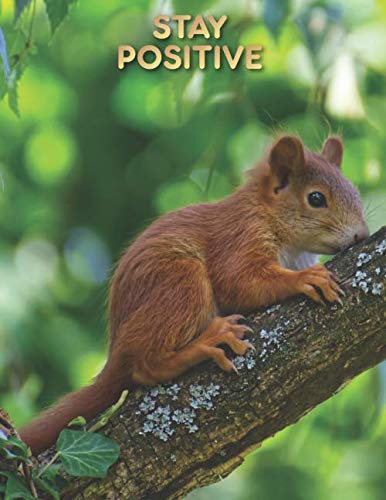 Brown Squirrel Stay Positive Journal Multipurpose Notebook - Large (8.5 x 11 Composition Book, Diary) Cute Funny Inspirational Rodent Cover