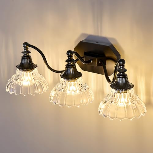 Image of hesoge Farmhouse Bathroom Light Fixture Vintage Vanity Light with Crystal Glass Shade Black 3 Light Wall Mount Lamp Over Mirror