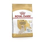 RoyalCanin Labrador Retriever Adult 5+ Dry Dog Food 12Kg Tailored For Weight Control And Optimal Joint Function Maximum Strength On Hips For Canine Who Reach Their Senior Years Savory Healthy Kibble