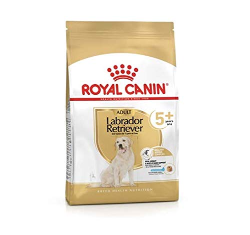 RoyalCanin Labrador Retriever Adult 5+ Dry Dog Food 12Kg Tailored For Weight Control And Optimal Joint Function Maximum Strength On Hips For Canine Who Reach Their Senior Years Savory Healthy Kibble