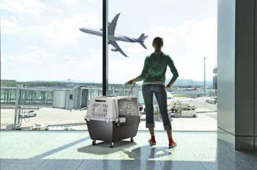 Kerbl 81340 Gulliver Touring IATA Transportbox, 80 x 58 x 62 cm, grau