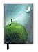 Produktbild Catrin Welz-Stein: Chasing the Moon (Foiled Journal) (Flame Tree Notebooks): Unser hochwertiges, liniertes Blankbook mit festem, künstlerisch ... Notizbuch DIN A 5 mit Magnetverschluss)