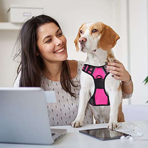 SIBOTER Hundegeschirr mit Hundeleine, Reflektierendes Hundegeschirr mittelgroße Hunde, mit Einfache Kontrolle Griff und Rückseite perfekt für Spaziergänge im Freien (M, Rosa)