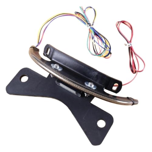 Eliminador de guardabarros Harley V-Rod con barra de luz trasera LED integrada VRSC