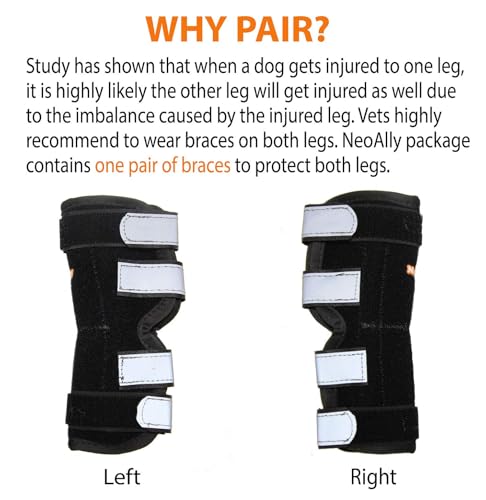 Image of NeoAlly Dog Canine Braces for Rear Legs Super Supportive with Dual Metal Spring Inserts to Stabilize Dog Hind Legs, Help Dogs with Injuries, Sprains, Arthritis, ACL (S Pair)