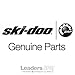 Ski-Doo New OEM Oil Seal, 420931284