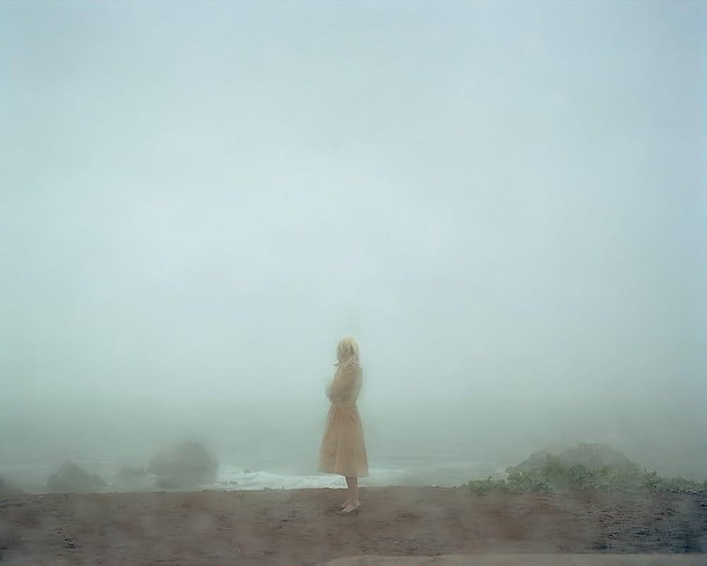 Todd Hido 写真集 Todd Hido: Intimate Distance (Revised and Expanded Edition