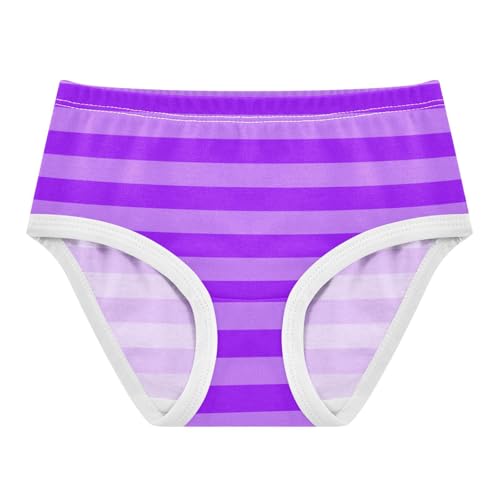Gradient Purple Stripe Toddler Girls's Underwear 2T